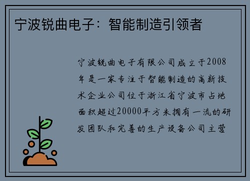 宁波锐曲电子：智能制造引领者