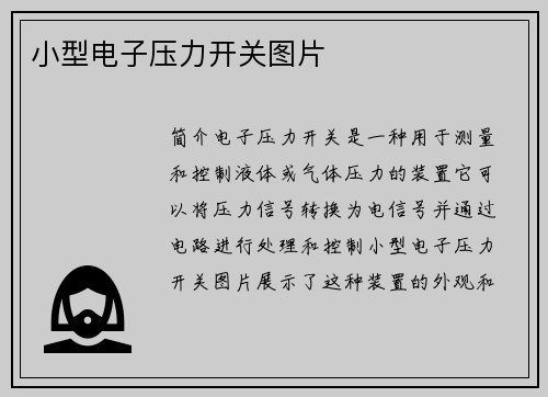 小型电子压力开关图片